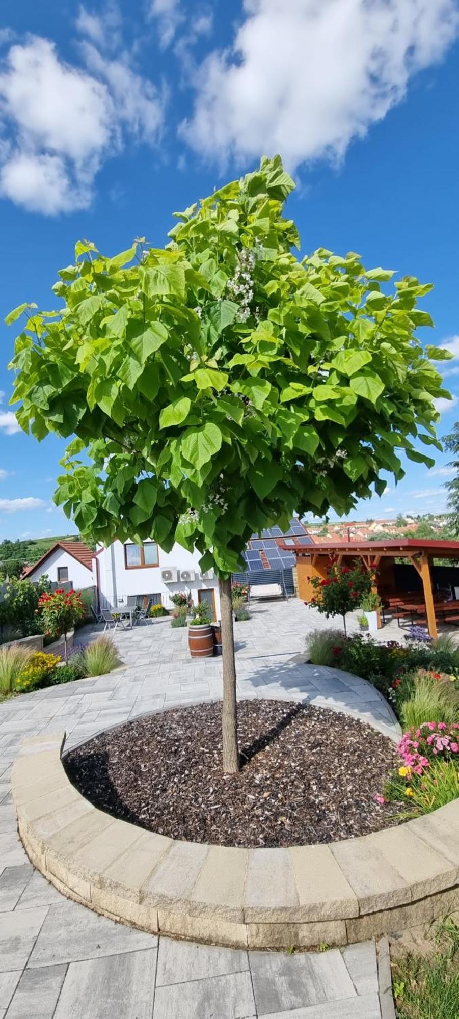 Penzion U Bustiku Sardice Exteriör bild